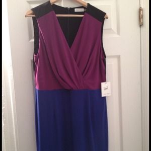 ✂REDUCED✂Calvin Klein Color Block Dress NEW