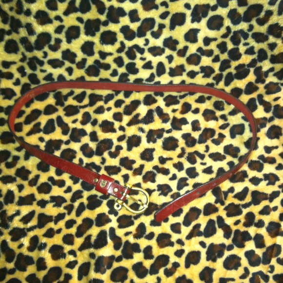 Belt - Picture 3 of 3