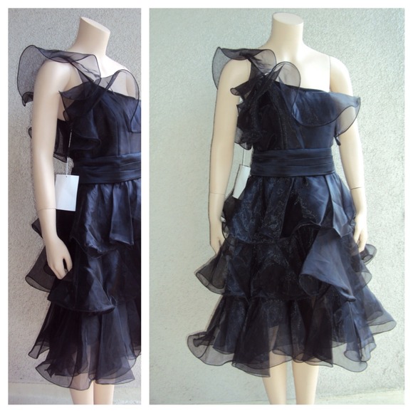Black Organza Ruffle Dresses - Picture 4 of 4