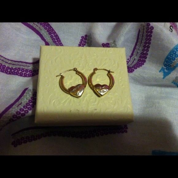 🚫⛔Sold⛔🚫 10k gold small hooped heart earrings