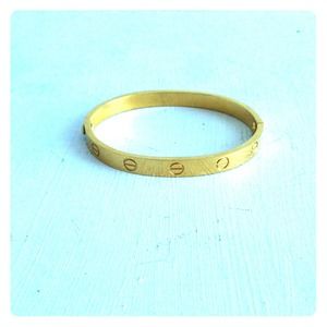 Cartier love bracelet