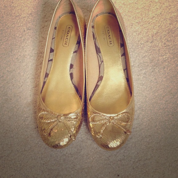 Not Available Anymore - Coach distressed gold