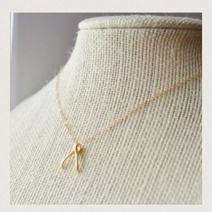 Gold Wishbone Necklace
