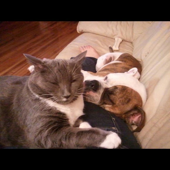 Meet your seller! Howdy! ❤💋❤💋 - Picture 4 of 4