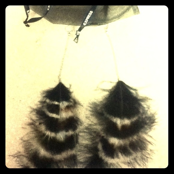 Long feather earrings with sheer bag! Never worn!
