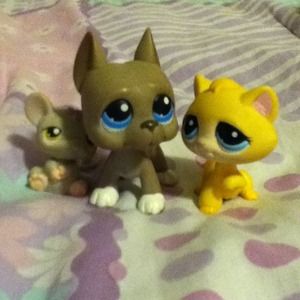 Littlest petshops