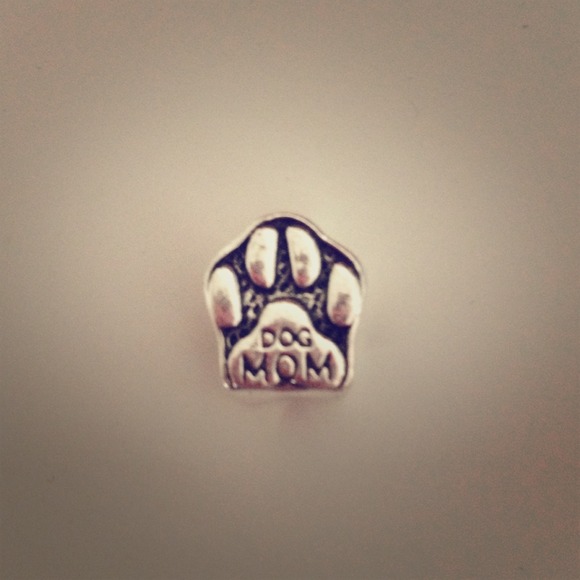 Dog Mom Charm