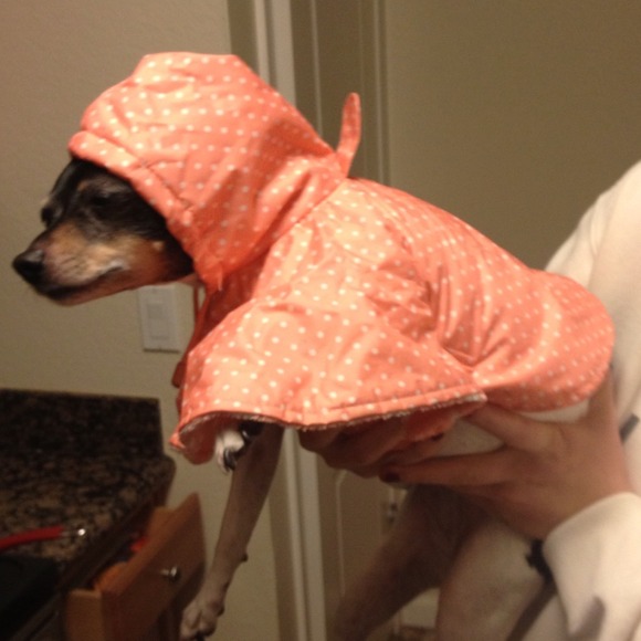 SOLD - BUNDLED!! Dog rain jacket!