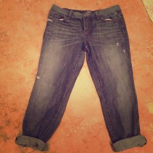 Ann Taylor loft boyfriend jeans