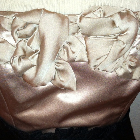 *BCBG* Sz 6 S/M strapless dress taupe black - Picture 4 of 4