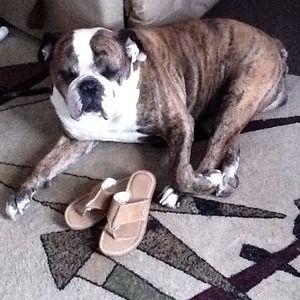 Ugg leather sandals on sale