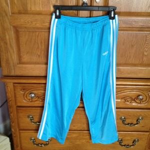 Adidas pants sky blue