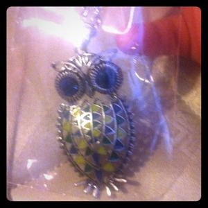 Owl Neclace New!!!