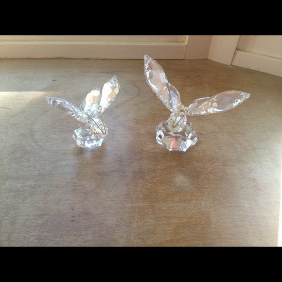 Crystal dragon flies