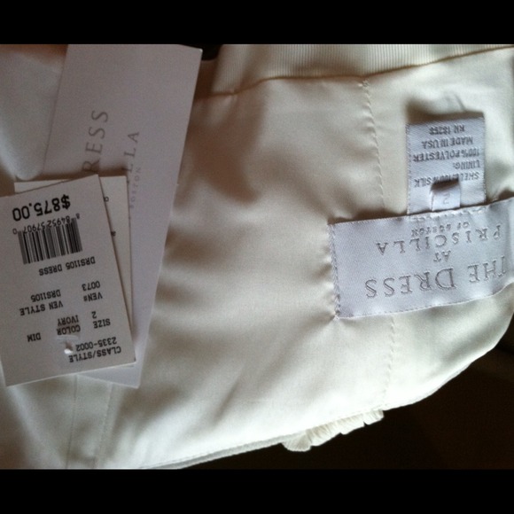 Ivory Priscilla of Boston Dress with Floral Detail - Picture 3 of 3