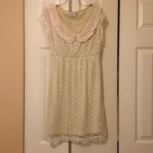 Tan/khaki Lacey polka dot dress
