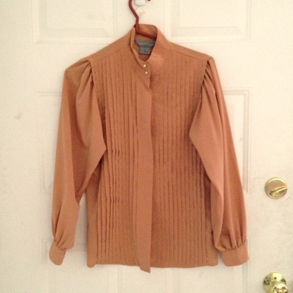 Vintage Cinnamon Pleated Blouse