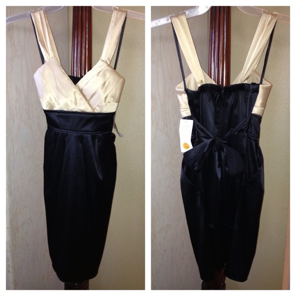 Dresses & Skirts - 🎉HOST PICK🎉 Cocktail/Event Dress