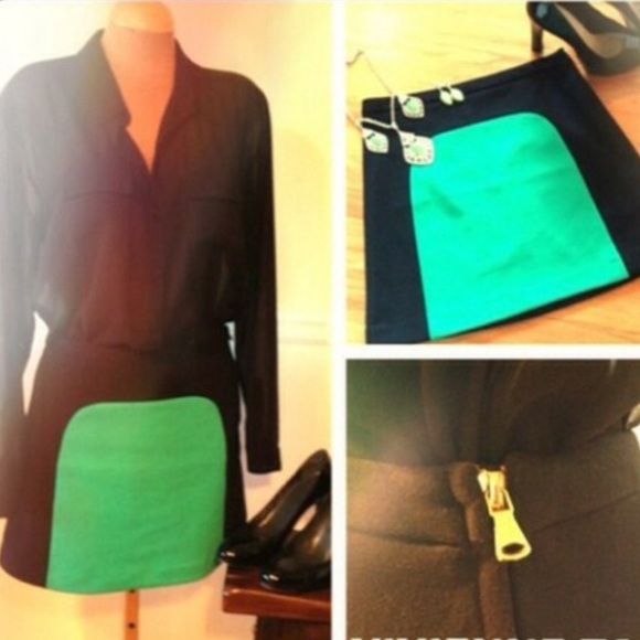 NEW Vivienne Tam Color Block Skirt - Picture 1 of 5