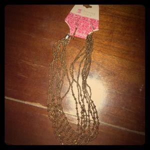 Charming Charlie's necklace and earrings set!