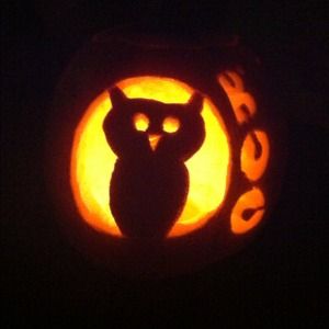 Bundle for muffin7044