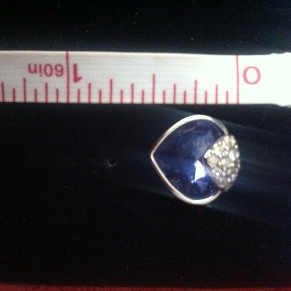 Swarovski Oceanic Earrings - Picture 3 of 3