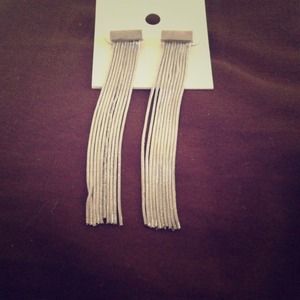 Earrings π