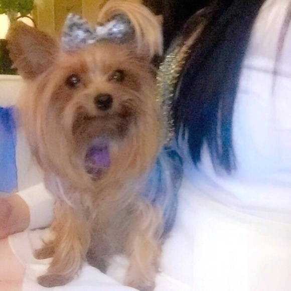 Meet Jumana💕 - Picture 4 of 4