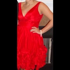 Beautiful Blush cocktail dress!