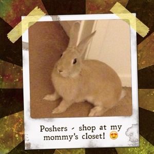 My little bunny 😍