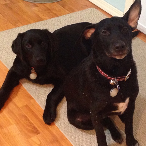 Meet me! - Picture 3 of 4