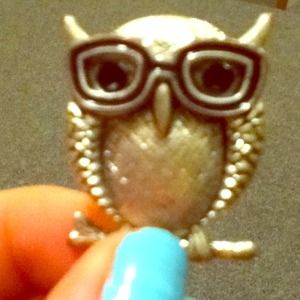 Owl jewel to hook on watch or bracelet