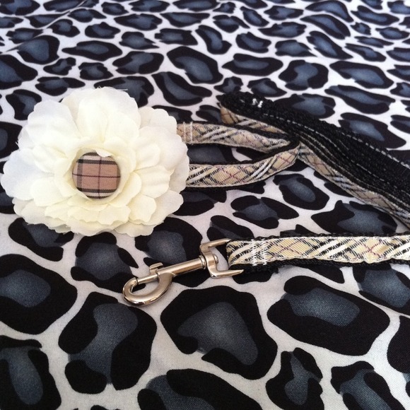 Burberry-like Fashion Dog Collar w/ Matching Leash