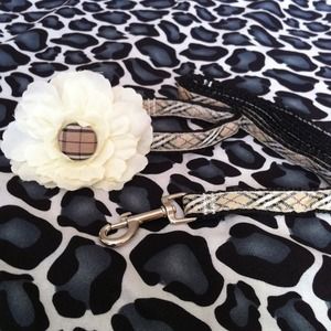 Burberry-like Fashion Dog Collar w/ Matching Leash