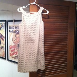 Shift dress from white house black market