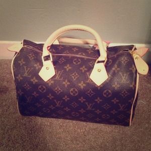 Louis Vuitton purse! Never been used!