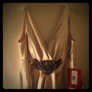 JS Collection gown