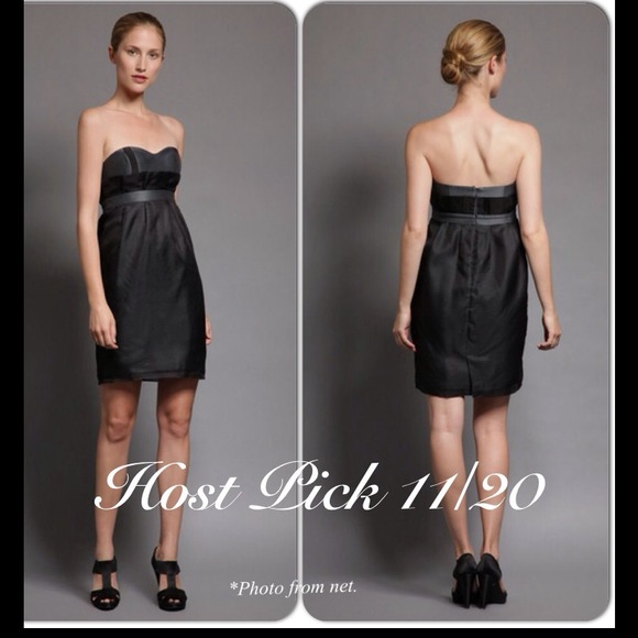 Shipley & Halmos Dresses & Skirts - SALE! Silk organza Dolchetto cocktail dress