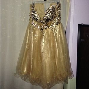 My winter formal dress