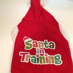 SOLD  SOLD Doggie Christmas outfit