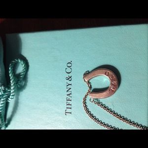 Tiffany & Co. Horseshoe Necklace with box and bag!