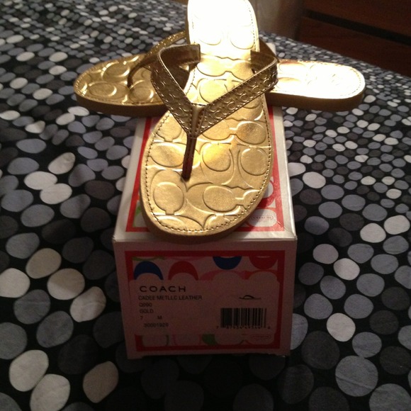 Coach slippers