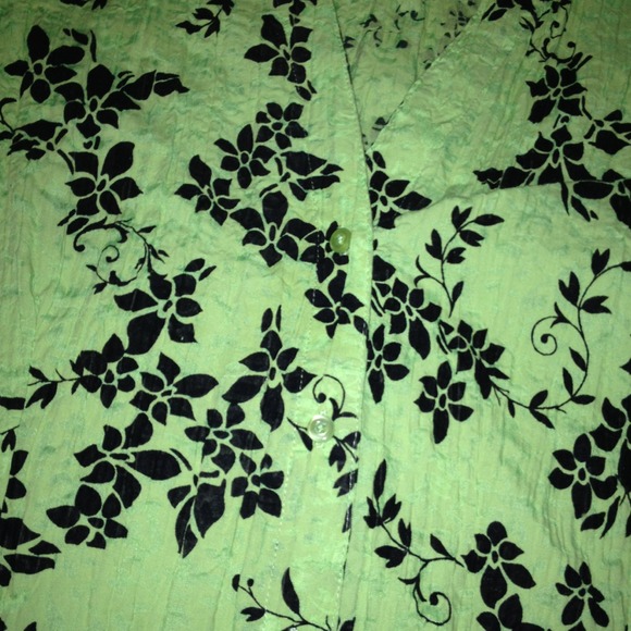 Beautiful green button down - Picture 2 of 2