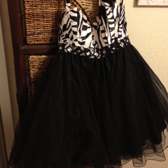 Terani Pageant or Prom Dress - Picture 2 of 4