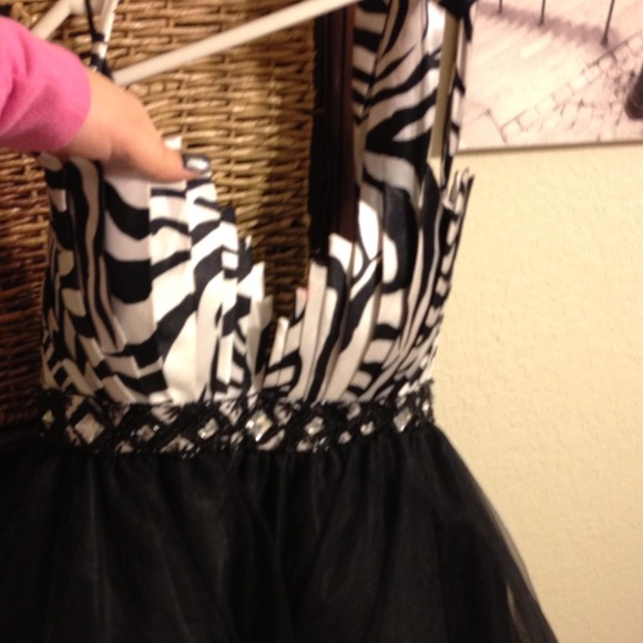 Terani Pageant or Prom Dress - Picture 3 of 4