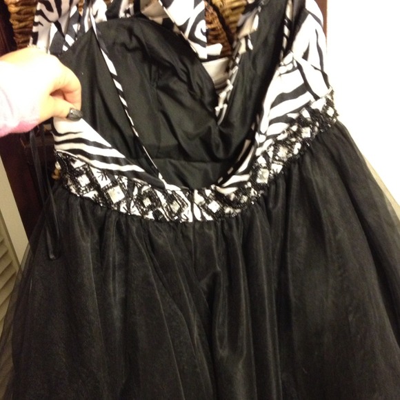 Terani Pageant or Prom Dress - Picture 4 of 4