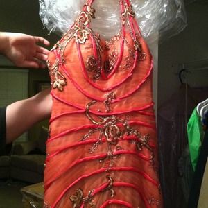Pink and gold gown