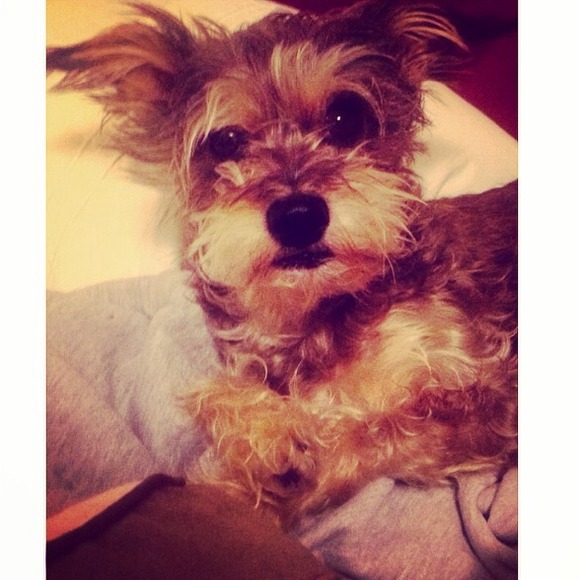 💕A little about Me💕 - Picture 2 of 3