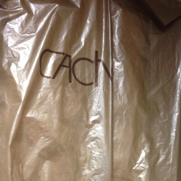 Cache Dress - WORN ONCE - Picture 4 of 4