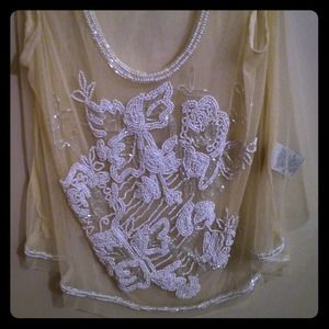 Urban outfitters sheer sequin top